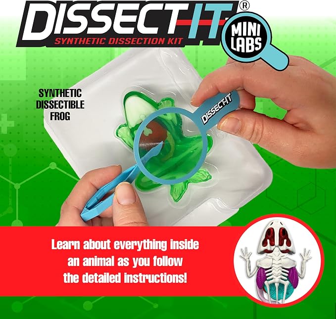 Top Secret Toys Dissect-It Mini Labs Frog Dissection Kit for Kids, Realistic Synthetic Kids Science Kit - On, Biology and Animal Anatomy, STEM Toy, Ages 6+
