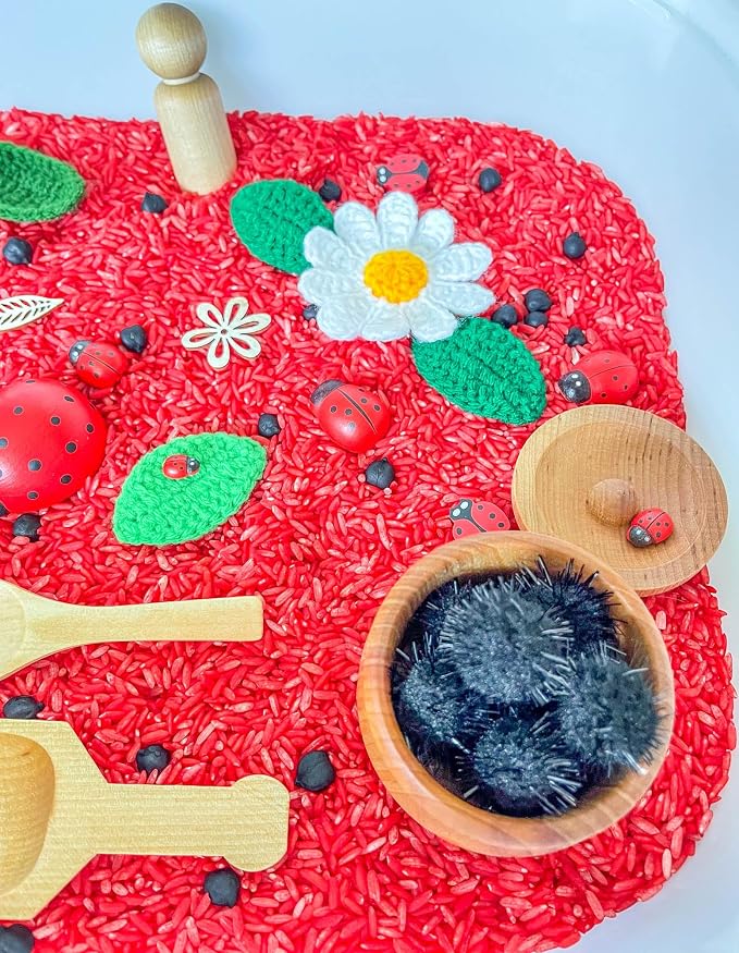 Kids Sensory Bins Montessori Sensory bin, Sensory Toys, Sensory Bins, Sensory Bin for Preschoolers (Ladybug)