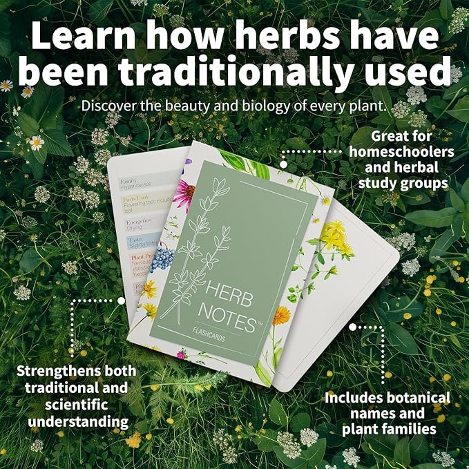 Herb Notes Plant Identification Cards, 48 Illustrated Botanical Flash Cards | Herb Cards for Plant Identification, Nature Study & Classroom Learning, Compatible with Learning Herbs Wildcraft! Board Game