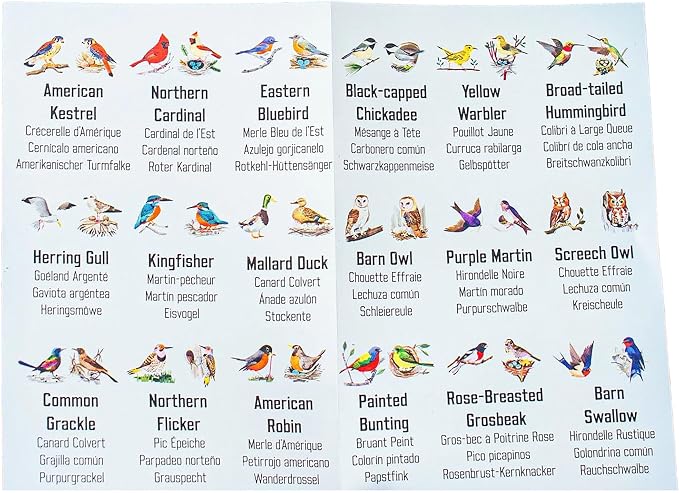 eeBoo Little Birds Memory & Matching Game, Ages 4+, 1-4 Players | Introduces common backyard bird species. Sharpens recognition, concentration & memory skills. Includes 36 tiles, 18 pairs