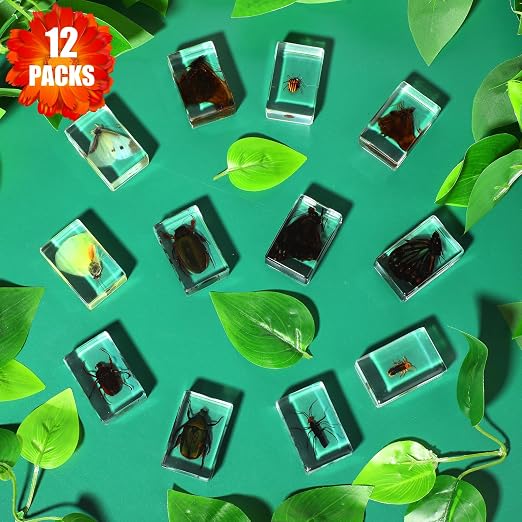 12 Pcs Insect Specimens for Kids Bug Collection Kit Real Specimens of Various Butterflies Beetles, Kids Biology Science Educational Toy, Back to School Gift for Classroom Teacher Student(Glowworm)