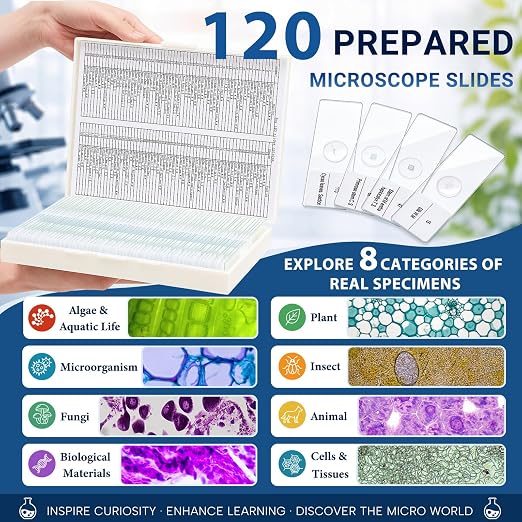 Tellegloww 120 Pcs Microscope Slides with Specimens for Kids & Students | Prepared Slides, Plant, Insect, Animal Tissue, Microorganisms, Biology Slide Set for STEM, Homeschool and Science Lab