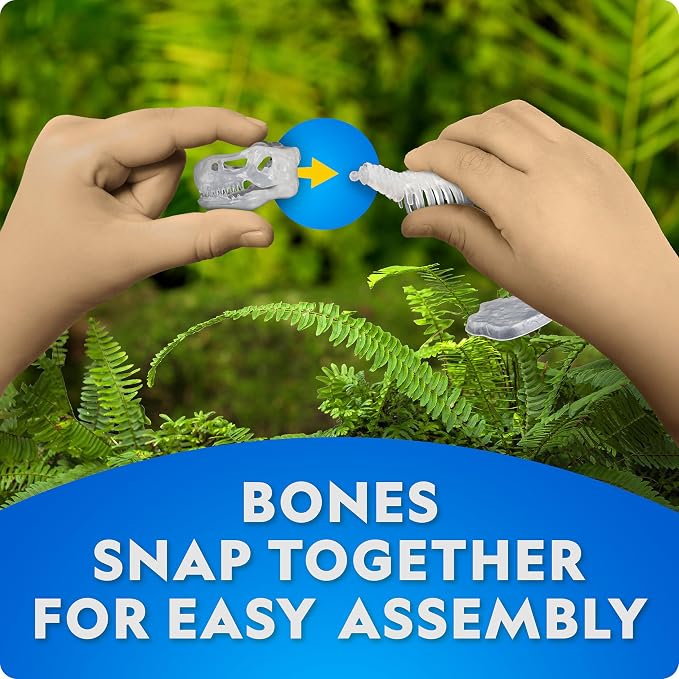 National Geographic Glow-in-the-Dark Dinosaur Skeleton Model Building Kit | Build T. Rex and Velociraptor Skeletons, Glow-in-the-Dark Bones, Dinosaur Toy Egg Activity, Fossil Learning, Birthday Gift
