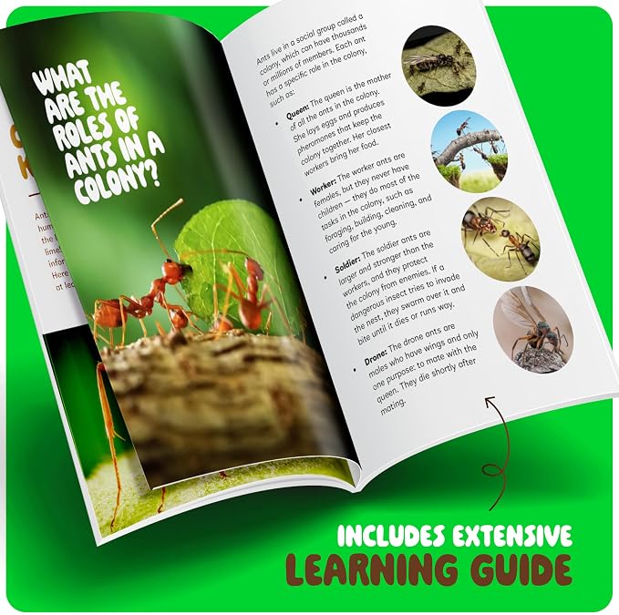 Ant Farm Kit for Kids - Farms Colony - Includes Ants Voucher - Sand Habitat | Bug Terrarium House - Educational Science Gifts for Kid - Nature Learning Toys for Boys, Girls & Adults