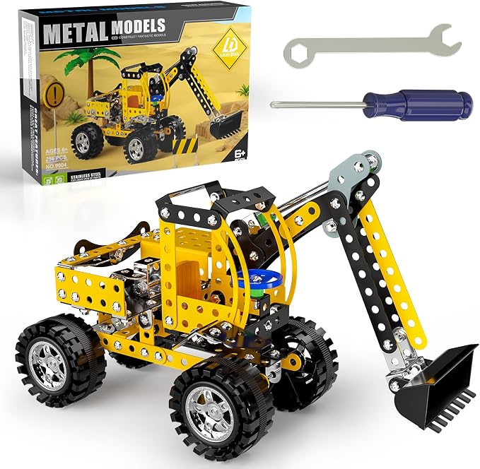 Lucky Doug Stem Building Projects Toys for Kids Boys 8 9 10 11 12 Year Old, Metal Building Construction Model kit, Building Blocks DIY Toy