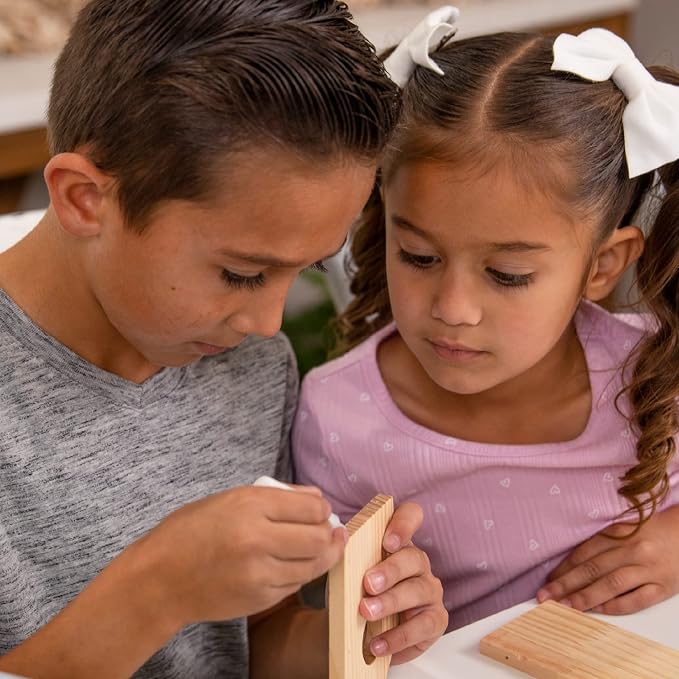 Hapinest Wooden Bird Houses to Paint and Build, Birdhouse Kit for Kids, Wood Painting Building Projects Fun Activities Arts and Crafts for Kids Ages 6-8 Girls Boys, DIY Bird House Kit 5-12 Years & Up