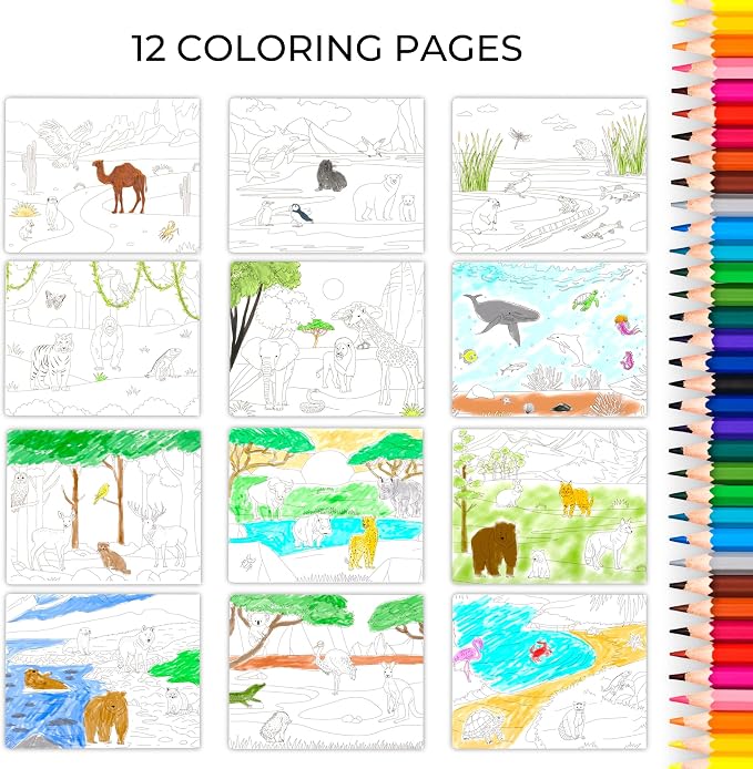 Fun Sticker Book for Toddlers 2-4 Years - Kids Activity Book with 12 Themes | Beautiful Stickers Entertain Girls & Boys Ages 2-4 or 4-8 While Traveling - Incl. Animal and Coloring Pages