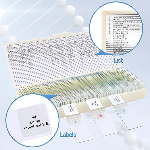 60 Microscope Slides with Specimens for Kids, Prepared Microscope Slides for Kids Microbiology, Prepared Microscope Slides for Adults | Prepared Microscope Glass Slides Kit for Kids 8-12, Biology Slides Set Gifts for Students Childs Lab School Education