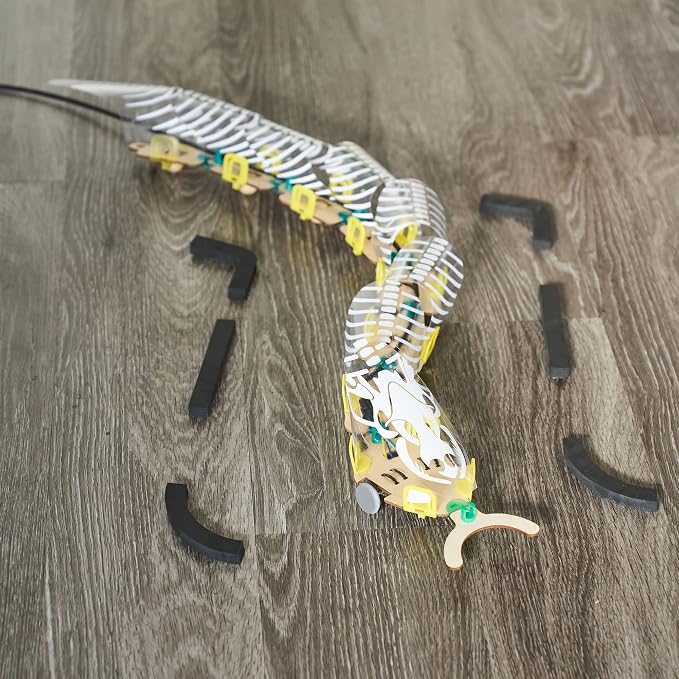 KiwiCo - Remote Controlled Snake Robot | DIY Robotics Engineering Building Kit | Science Exploration Activity & RC Learning Toy & Gift for Kids Ages 9+