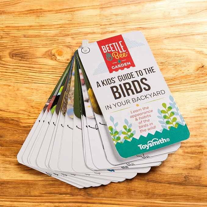 Beetle & Bee Bird Watching Kit For Kids 4x30 Binoculars Nature Toy Ages 5+ | Outdoor Explorer Gear, Backyard Birding Activities, Starter Observation Play, Travel Discovery Trips, Young Naturalist Gifts.