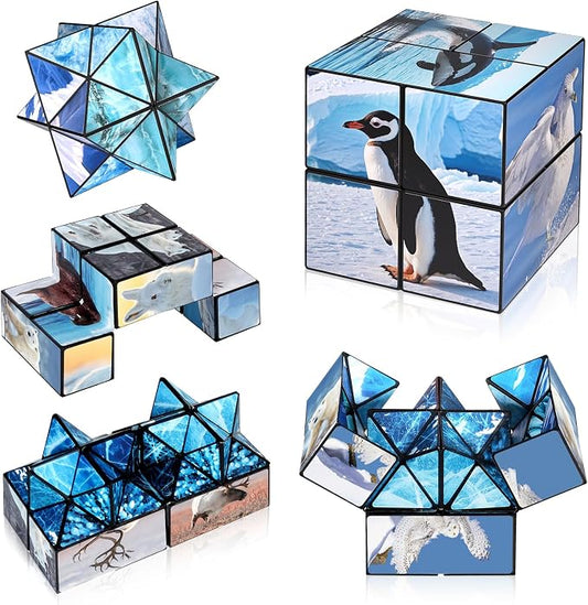 Euclidean Cube Fidget Toys for Kids 2 in 1 Star Cube Magic Cube Puzzle Toys | Fidget Cube for Kids and Adults, Yoshimoto Cube Travel Toy Stress Relief for All Age, Birthday Gifts for Boys Girls Ages 8-12