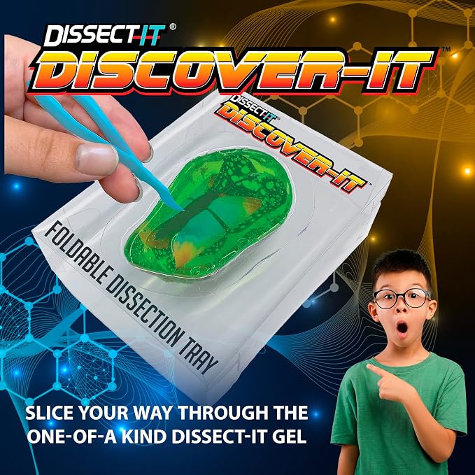 Discover it Butterfly, Science Lab Kit, STEM Toys for Kids, Ages 5+ | Butterfly Life Cycle: Open a synthetic chrysalis to discover butterfly stages while learning about metamorphosis and STEM