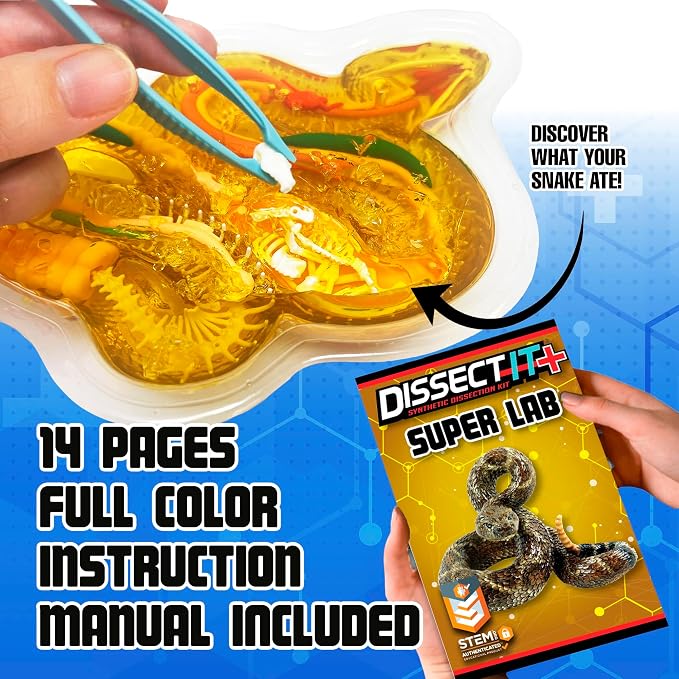 Dissect-It, Rattlesnake Dissection Kit, STEM Toys for Kids, Ages 6+ | Rattlesnake Anatomy, Examine Realistic Organs & Complete Skeleton, Then Rebuild with 2 Gel Refill Packs for STEM Learning
