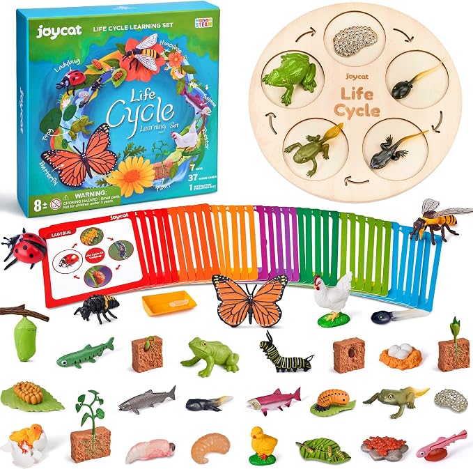 JoyCat Life Cycle Toys for Kids, 7 Animal and Plant Sets with Cards | Explore seven animal and plant life cycles with 37 cards, realistic figures, a double-sided board and storage box