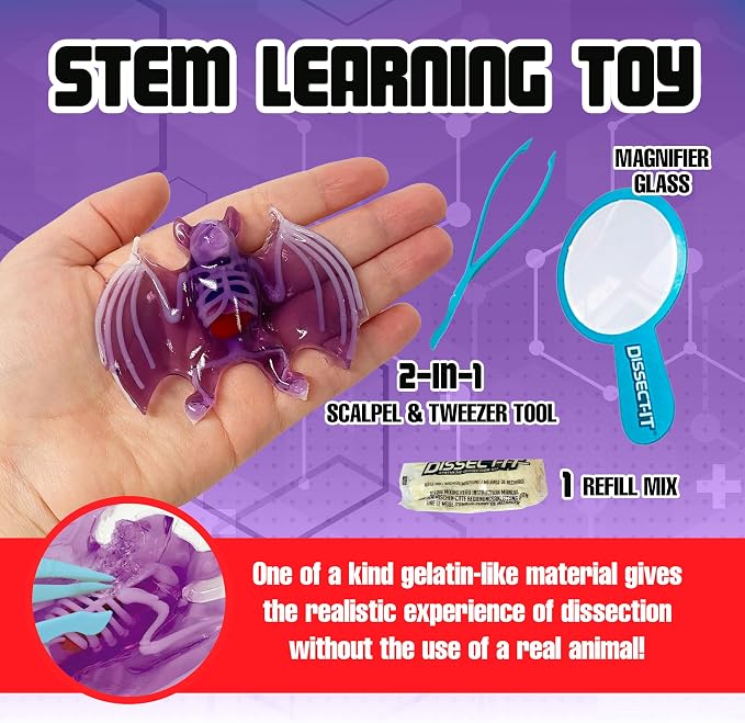 Top Secret Toys Dissect-It Mini Labs Bat Lab Dissection Kit for Kids, Realistic Synthetic Kids Science Kit - On, Biology and Animal Anatomy, STEM Toy, Ages 6+