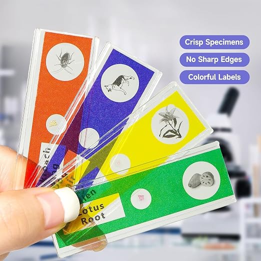 Jiusion 48Pcs Prepared Microscope Slides Specimen Set for Stereo Microscope | Safe Plastic Biological Samples of Animals, Insects, Plants & Flowers for Kids, Students Enlighten Education