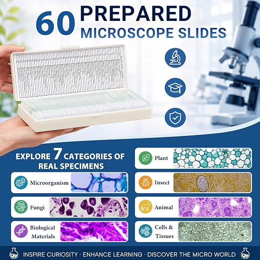 Tellegloww 60 Pcs Microscope Slides with Specimens for Kids & Students | Prepared Slides, Plant, Insect, Animal Tissue, Microorganisms, Biology Slide Set for STEM, Homeschool and Science Lab