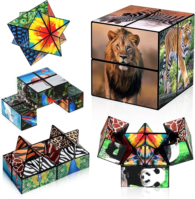 Euclidean Cube Fidget Toys for Kids 2 in 1 Star Cube Magic Cube Puzzle Toys | Fidget Cube for Kids and Adults, Yoshimoto Cube Animal Travel Toy Stress Relief for All Age, Gifts for Boys Girls Ages 8-12