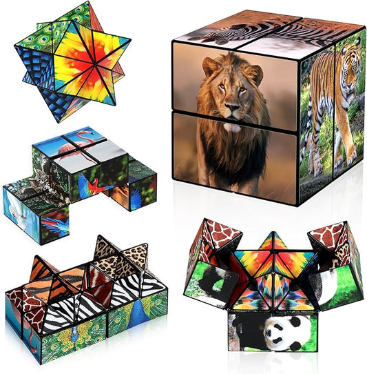 Euclidean Cube Fidget Toys for Kids 2 in 1 Star Cube Magic Cube Puzzle Toys | Fidget Cube for Kids and Adults, Yoshimoto Cube Animal Travel Toy Stress Relief for All Age, Gifts for Boys Girls Ages 8-12