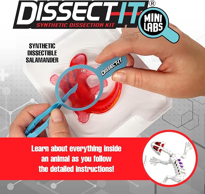 Top Secret Toys Dissect-It Mini Labs Salamander Dissection Kit for Kids, Realistic Synthetic Kids Science Kit - On, Biology and Animal Anatomy, STEM Toy, Ages 6+