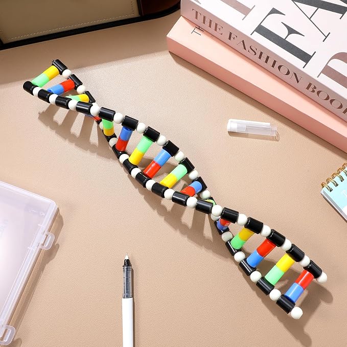 iplusmile DNA Model Kit Double Helix Structure, 3D Science Teaching Instrument for Biology Class, Genetics Learning Educational Toy for Students Kids Assembly Display