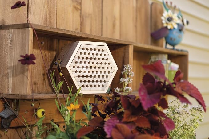 Toysmith Beetle & Bee Solitary Habitat Kit, Wooden Outdoor Science Toy | Kids Outdoor Toy, Bee House Craft, Garden Kit Learning, 13 FSC Wood Pieces, No Glue Hardware, Age 8+ Pollinator Activity