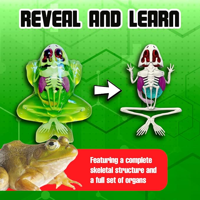 Dissect-It, Standard Frog Dissection Kit, STEM Toys for Kids, Ages 6+ | Animal Anatomy Learning, Explore realistic frog organs and a complete skeleton while building biology and STEM skills.