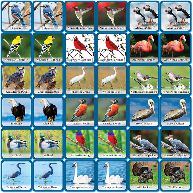 Masterpieces Officially Licensed Audubon Picture Matching Card Game for Kids and Families