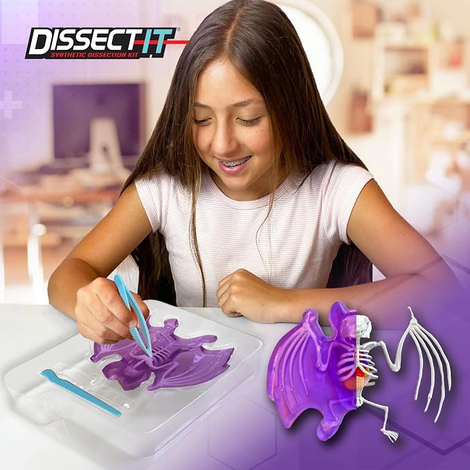 Dissect-It, Bat Dissection Kit, STEM Toys for Kids, Ages 6+ | Examine Realistic Bat Organs & Complete Skeleton, Then Rebuild with 2 Gel Refill Packs for Reusable STEM Learning