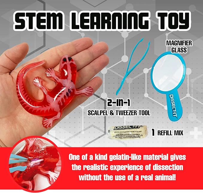 Top Secret Toys Dissect-It Mini Labs Salamander Dissection Kit for Kids, Realistic Synthetic Kids Science Kit - On, Biology and Animal Anatomy, STEM Toy, Ages 6+