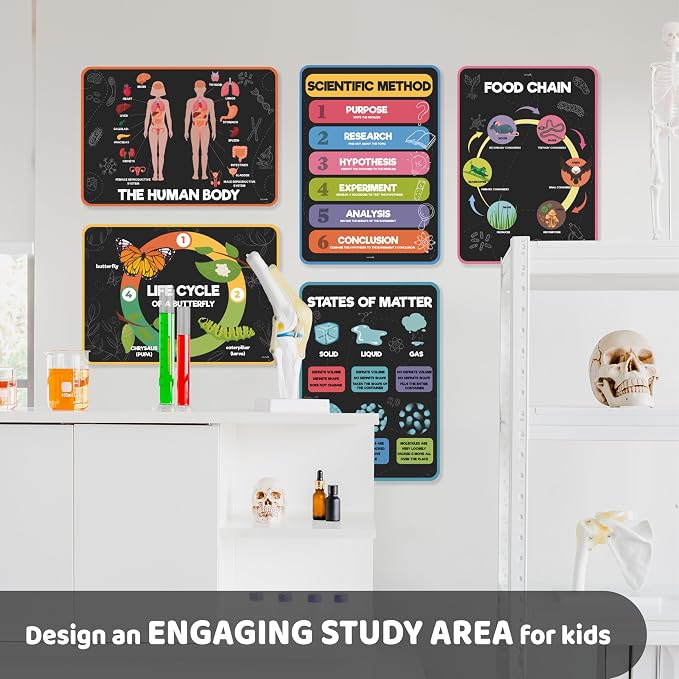 Jackinthebox 12 Science Posters for Kids Classroom Decor, Elementary School | Trendy Arts Kit, 5th Grade, Middle Teen Girls, Journal Gifts, STEM Learning, Educational Wall Display Set, Ages 10-14, Modern
