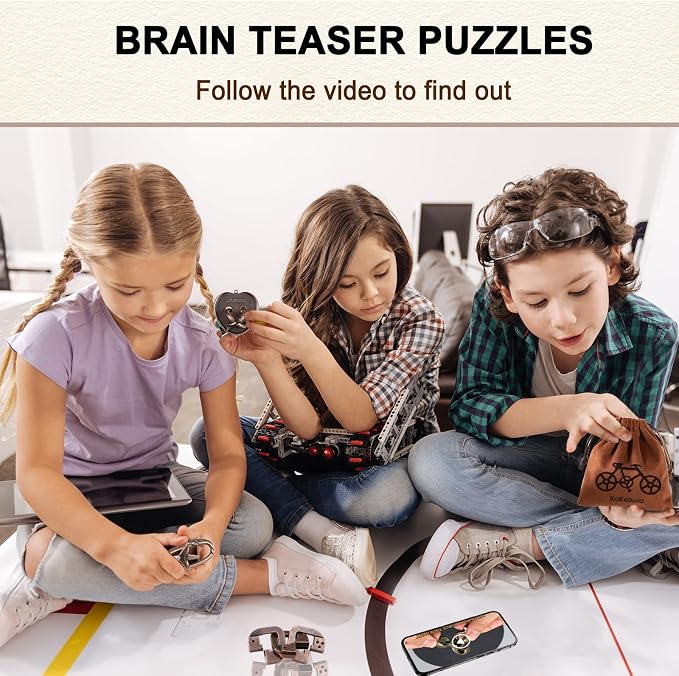 12 PCS Brain Teaser Puzzles Disentanglement Puzzles Metal Puzzle Logic Metal Puzzle for Adult Lock Puzzles Gift for Adults Teenagers