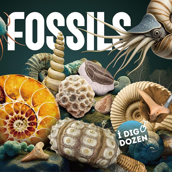 Gamerside Fossil Digging Kit, 12 Real Fossils & Dino Bones & Mess-Free Mat | Includes Learning Guide with Fossils Facts, Excavation Tools, Fun Paleontology Activity, Educational STEM Toys for Kids 6+
