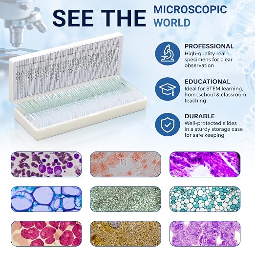 Tellegloww 60 Pcs Microscope Slides with Specimens for Kids & Students | Prepared Slides, Plant, Insect, Animal Tissue, Microorganisms, Biology Slide Set for STEM, Homeschool and Science Lab