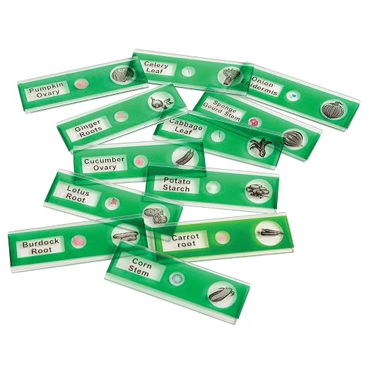 Prepared Microscope Slides for Kids – 12 Plastic Vegetable Specimens with Labels & Images – Safe, Durable Biology Science Kit for Students Ages 8+