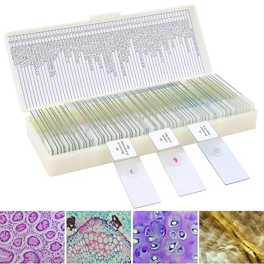 60 Microscope Slides with Specimens for Kids, Prepared Microscope Slides for Kids Microbiology, Prepared Microscope Slides for Adults | Prepared Microscope Glass Slides Kit for Kids 8-12, Biology Slides Set Gifts for Students Childs Lab School Education