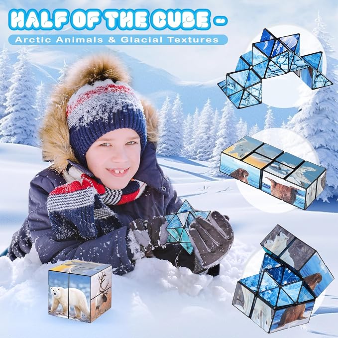 Euclidean Cube Fidget Toys for Kids 2 in 1 Star Cube Magic Cube Puzzle Toys | Fidget Cube for Kids and Adults, Yoshimoto Cube Travel Toy Stress Relief for All Age, Birthday Gifts for Boys Girls Ages 8-12