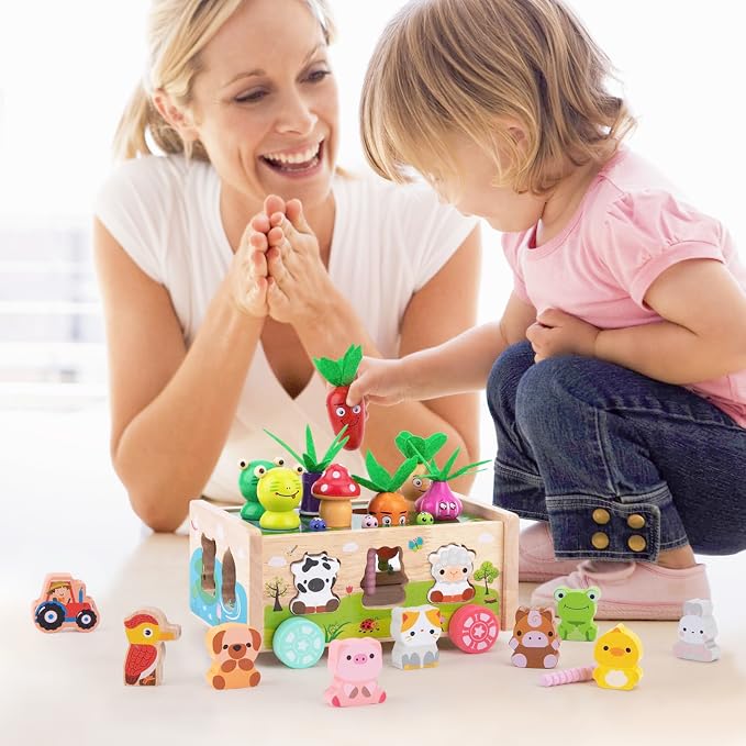KMTJT Montessori Wooden Toddler Toys for 1 2 3 Years Old Boys Girls Gifts | Shape Sorting Toys First Birthday Gifts for 1-2 Years, Wood Animal Farm Car Preschool Educational Fine Motor Skills Toy
