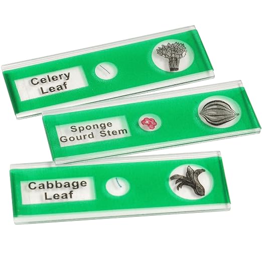Prepared Microscope Slides for Kids – 12 Plastic Vegetable Specimens with Labels & Images – Safe, Durable Biology Science Kit for Students Ages 8+