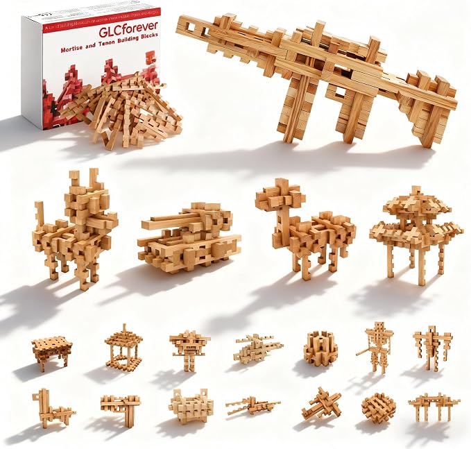 STEM Wooden Building Blocks - 20+ Shapes, 3D Puzzle, Brain Games, Educational Toys Gift for Kids and Classroom,Montessori STEM Toys for Ages 5+ and Adults (20 in 1 Premium Version)