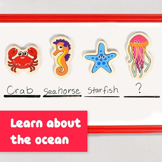 Spark & Wow Wooden Magnets, Sea Life, Magnets for Kids Ages 2+ | Open-Ended Play, Adhere to Fridges, Whiteboards and More