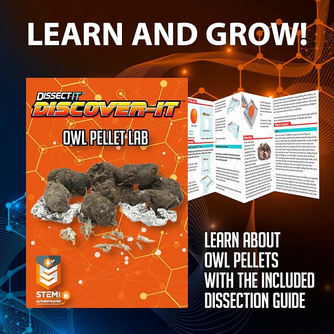 Discover-It Owl Pellet, Science Lab Kit, STEM Toys for Kids, Ages 5+ | Synthetic Bones: Open a realistic owl pellet to discover hidden bones while learning about owls, food chains, and STEM