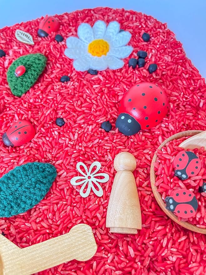 Kids Sensory Bins Montessori Sensory bin, Sensory Toys, Sensory Bins, Sensory Bin for Preschoolers (Ladybug)