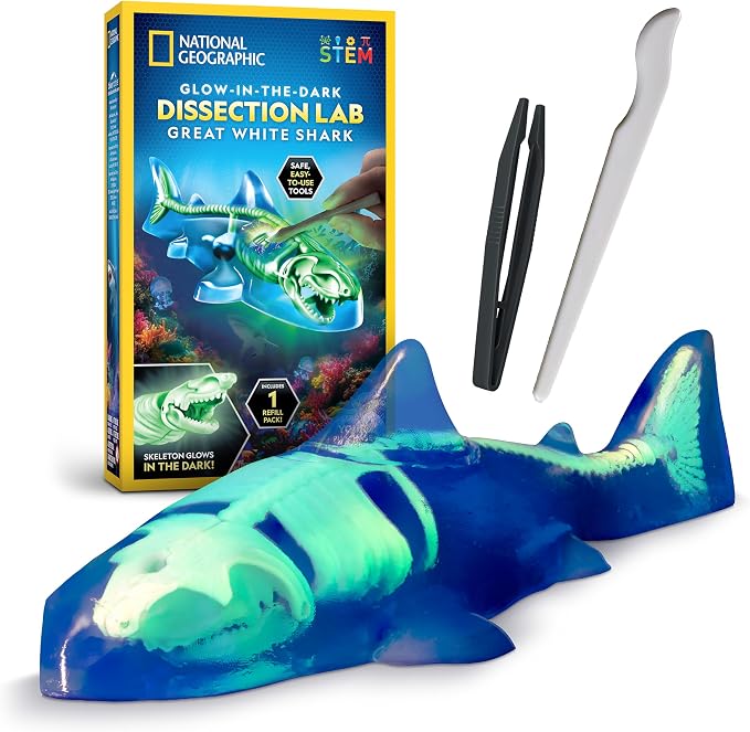 National Geographic Glow-in-the-Dark Shark Dissection Kit for Kids | Glow-in-the-Dark Great White Model, 12 Bones and Organs, Refill Pack, Kid-Friendly Tools, Shark Anatomy, Birthday Gift