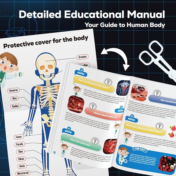 GobiDex Human Body Skeleton Model Kit, Glow in The Dark Science Kit for Kid | 40 Piece Anatomy Figure, STEM Educational Toys for Boys and Girls, Halloween Physiology Gifts for Kids Ages 8+