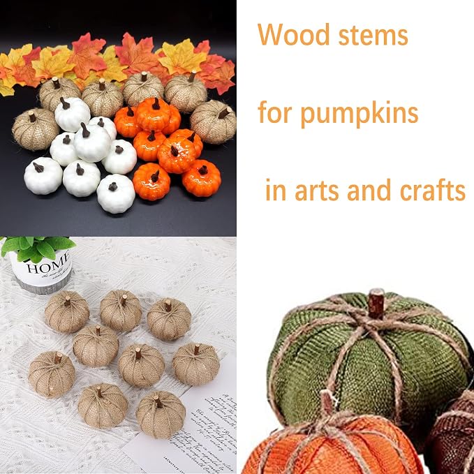 Wood Craft Sticks Crafting Twigs, Pumpkin Stems DIY Vase Fillers | Log Toy Rustic Decorations Ornaments,Loose Parts Play Materials
