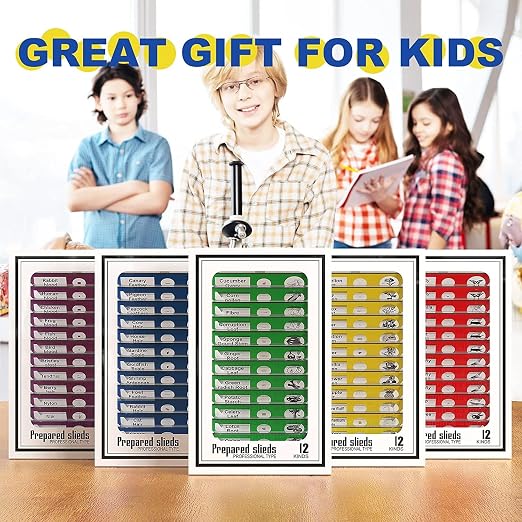 Jiusion 60Pcs Prepared Microscope Slides Specimen Set for Stereo Microscope | Safe Plastic Biological Samples of Animals, Insects, Plants & Flowers for Kids, Students Enlighten Education
