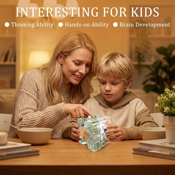 2 Pack 3D Rolling Ball Maze Cube Puzzle,Maze Cube for Kids Labyrinth 3D Puzzle Maze Cube Ball Twist Roll Brain Teaser Toys,Cultivate Logical Thinking for Logical Thinking for Family Game Birthday Gift