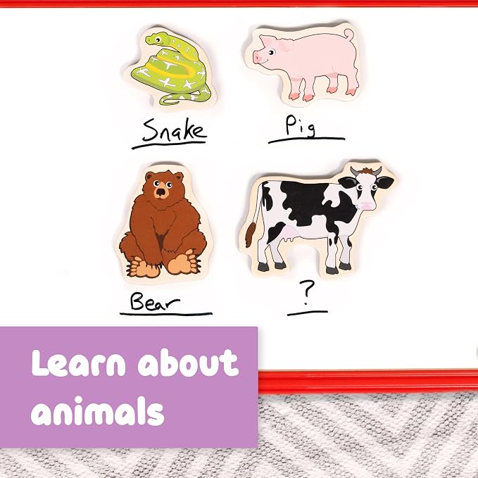 Spark & Wow Wooden Magnets, Animals, Set of 20 | Magnets for Kids Ages 2+, Open-Ended Play, Adhere to Fridges, Whiteboards and More