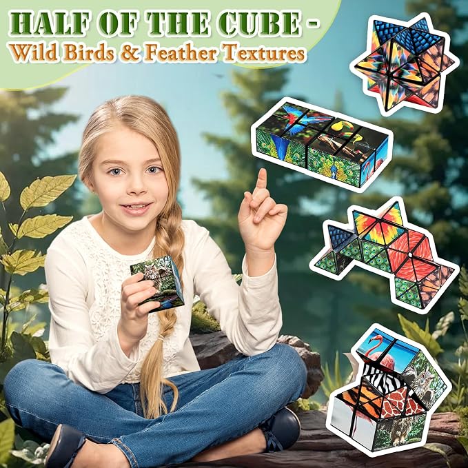 Euclidean Cube Fidget Toys for Kids 2 in 1 Star Cube Magic Cube Puzzle Toys | Fidget Cube for Kids and Adults, Yoshimoto Cube Animal Travel Toy Stress Relief for All Age, Gifts for Boys Girls Ages 8-12